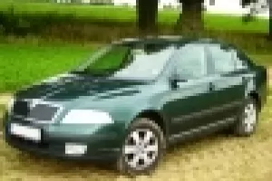 Škoda Octavia 1,9 TDI: 30 000 km za volantem