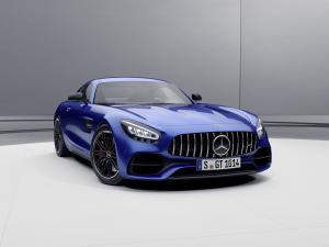 Mercedes-amg GT Coupe (C190) (2020)
